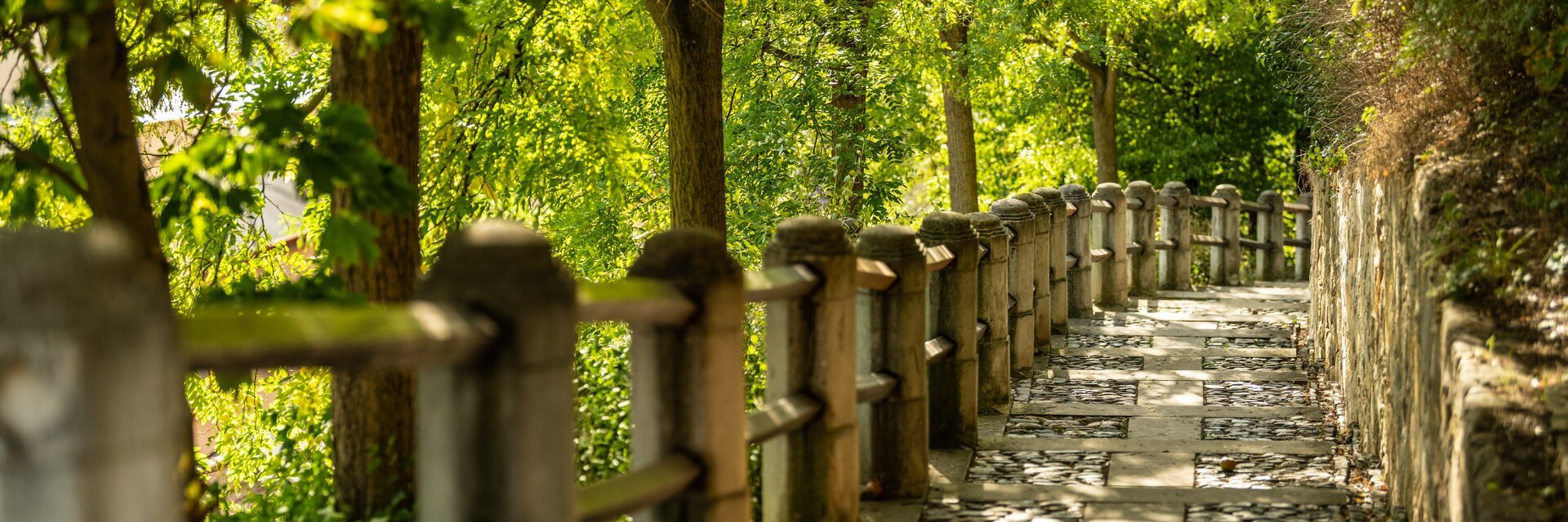 Hintergrund